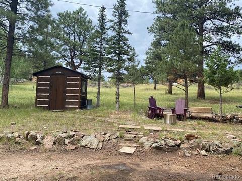 117 S Pine Dr, Bailey, CO 80421 photo 7