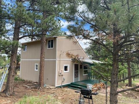 117 S Pine Dr, Bailey, CO 80421 photo 2