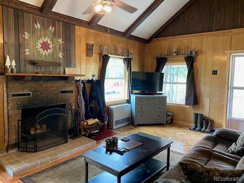 117 S Pine Dr, Bailey, CO 80421 photo 22