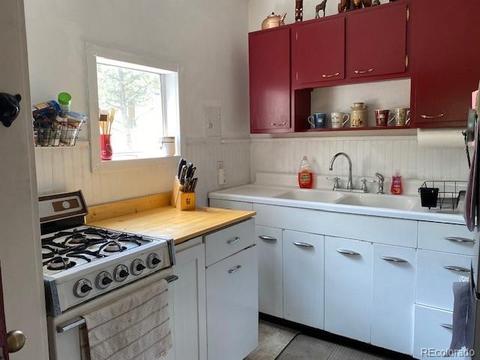 117 S Pine Dr, Bailey, CO 80421 photo 10