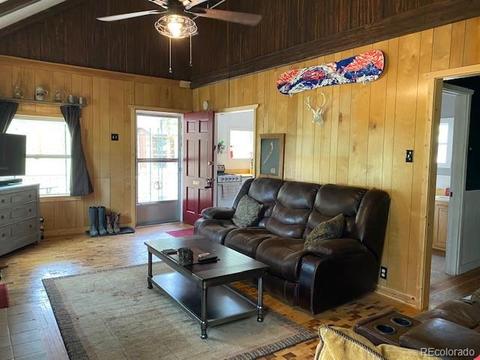 117 S Pine Dr, Bailey, CO 80421 photo 15