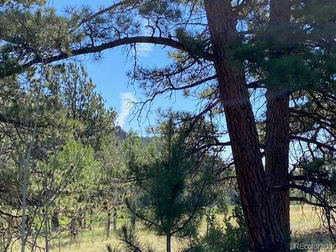 117 S Pine Dr, Bailey, CO 80421 photo 3