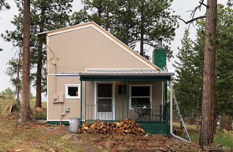 117 S Pine Dr, Bailey, CO 80421 photo 1