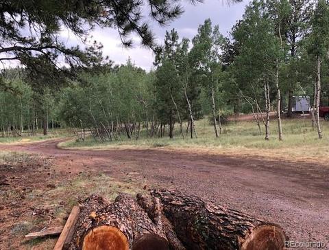 117 S Pine Dr, Bailey, CO 80421 photo 25