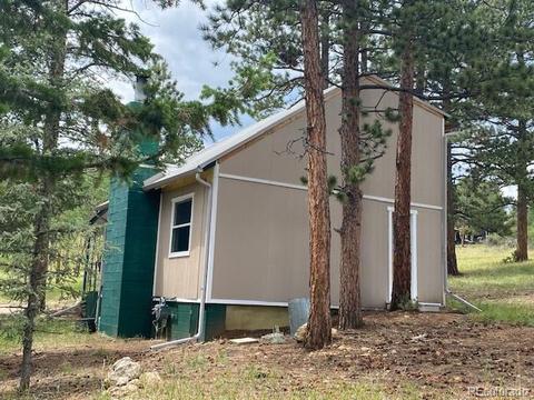 117 S Pine Dr, Bailey, CO 80421 photo 5