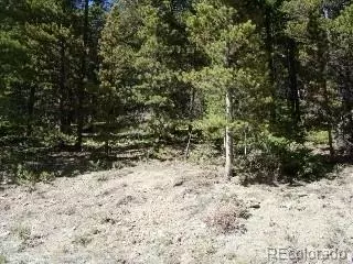 lot680 Alice Rd, Idaho Springs, CO 80453