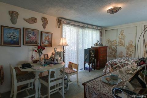 3875 Soda Lakes Rd, Morrison, CO 80465 photo 8