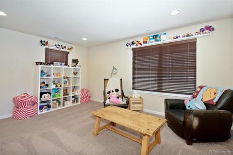 8420 Windy Ct, Arvada, CO 80007 photo 17