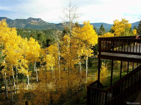128 Desparado Rd, Bailey, CO 80421 photo 33