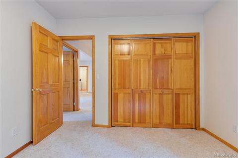 128 Desparado Rd, Bailey, CO 80421 photo 24