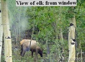 128 Desparado Rd, Bailey, CO 80421 photo 32