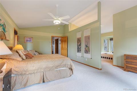 128 Desparado Rd, Bailey, CO 80421 photo 19