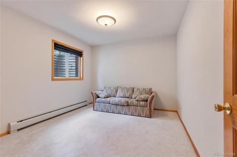 128 Desparado Rd, Bailey, CO 80421 photo 23