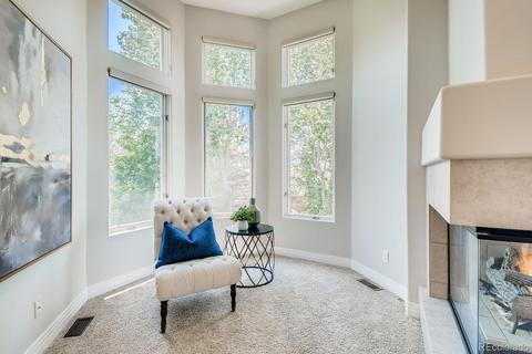 9164 E Star Hill Ln, Lone Tree, CO 80124 photo 21