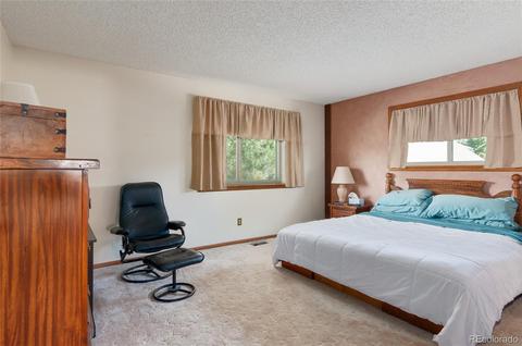 17772 E Crestline Pl, Centennial, CO 80015 photo 13