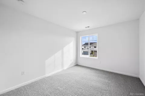 5225 Brangus Dr, Windsor, CO 80528 photo 20