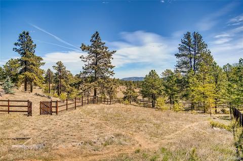 20602 Spring Creek Trl, Buffalo Creek, CO 80425 photo 31