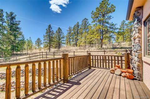 20602 Spring Creek Trl, Buffalo Creek, CO 80425 photo 29