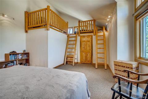 20602 Spring Creek Trl, Buffalo Creek, CO 80425 photo 24