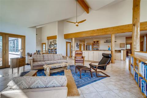 20602 Spring Creek Trl, Buffalo Creek, CO 80425 photo 6