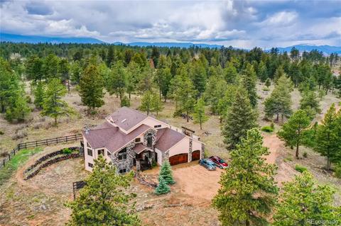 20602 Spring Creek Trl, Buffalo Creek, CO 80425 photo 37