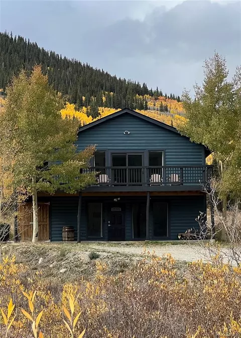 141 Quartzville Rd, Alma, CO 80420