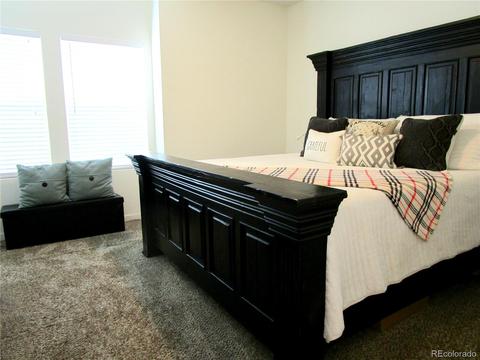 19149 E 54th Pl E, Denver, CO 80249 photo 19