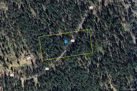 1520 Alps Mountain Rd, Idaho Springs, CO 80452