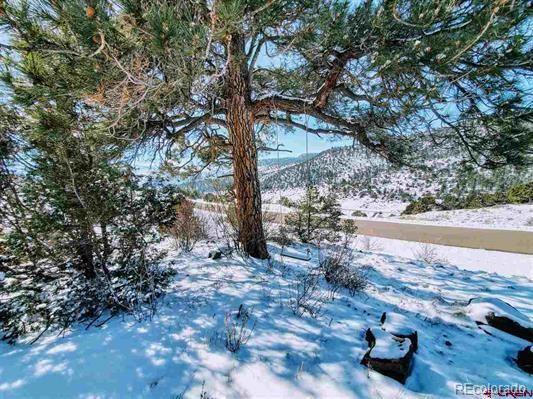  2641 Bear Creek Cir, South Fork, CO 81154 photo 8