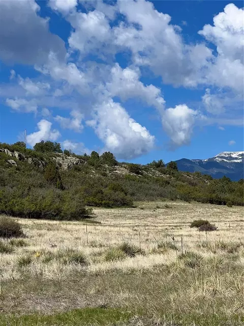 Lot 78 Shavano Drive, Colorado City, CO 81019