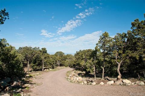 4201 Caprice Way, Crestone, CO 81131 photo 37