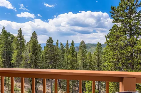 11155 Bear Run Trl, Conifer, CO 80433 photo 9