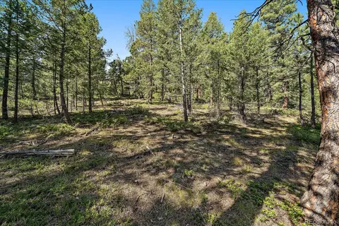 0 Evergreen Dr, Conifer, CO 80433 photo 17