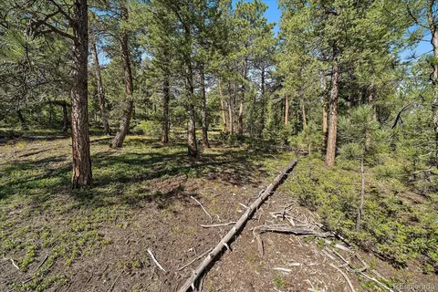 0 Evergreen Dr, Conifer, CO 80433 photo 21