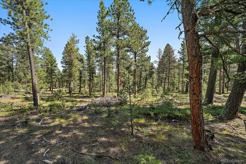 0 Evergreen Dr, Conifer, CO 80433 photo 15