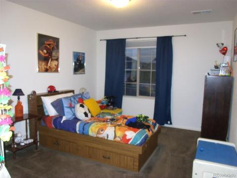 18793 E 48th Pl, Denver, CO 80249 photo 12