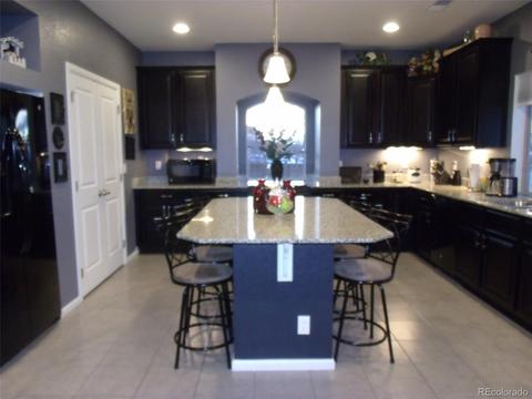 18793 E 48th Pl, Denver, CO 80249 photo 10