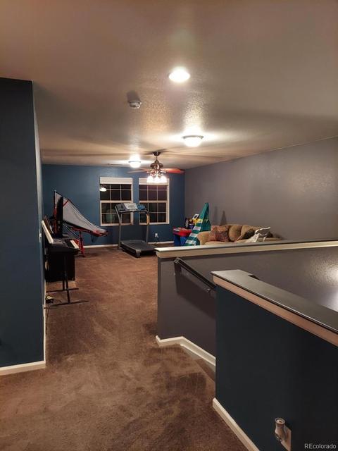 18793 E 48th Pl, Denver, CO 80249 photo 26