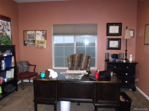 18793 E 48th Pl, Denver, CO 80249 photo 21