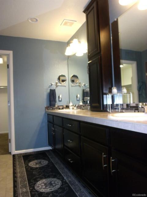 18793 E 48th Pl, Denver, CO 80249 photo 14