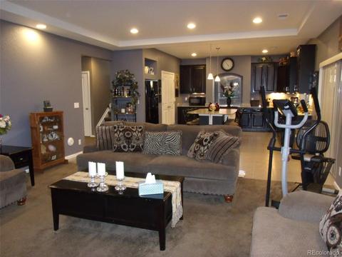 18793 E 48th Pl, Denver, CO 80249 photo 8
