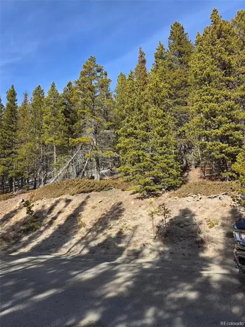 lot680 Alice Rd, Idaho Springs, CO 80453