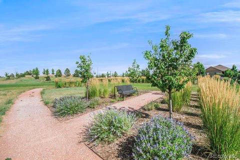 14898 Studebaker Pl, Parker, CO 80134 photo 33