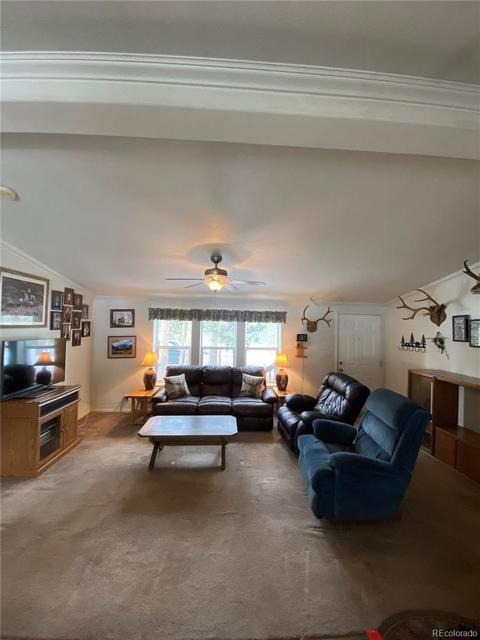 1903 Singletree Rd, Hartsel, CO 80449 photo 14
