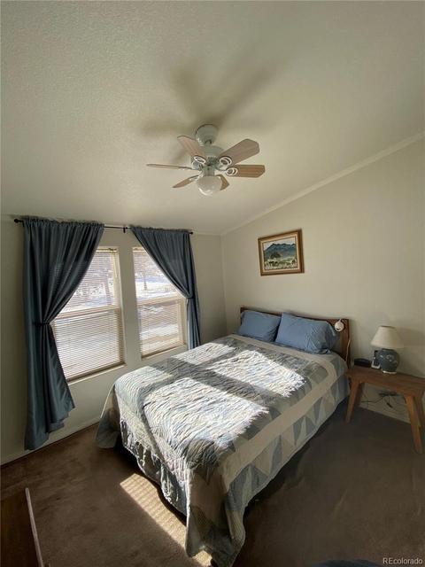 1903 Singletree Rd, Hartsel, CO 80449 photo 3