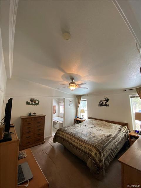 1903 Singletree Rd, Hartsel, CO 80449 photo 18