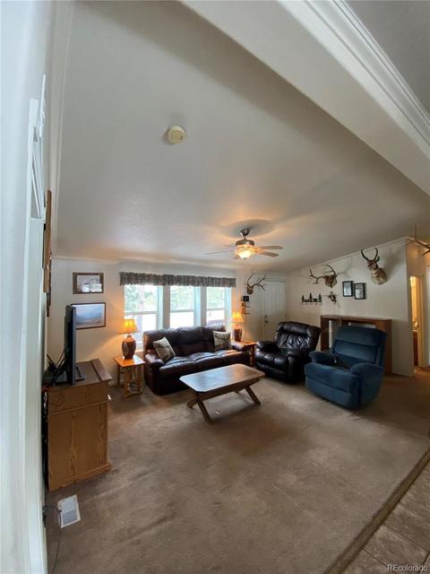 1903 Singletree Rd, Hartsel, CO 80449 photo 13