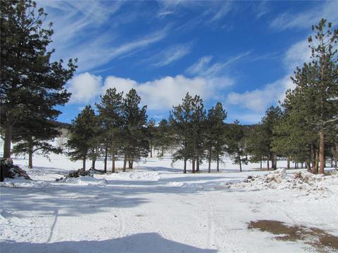 1903 Singletree Rd, Hartsel, CO 80449 photo 7