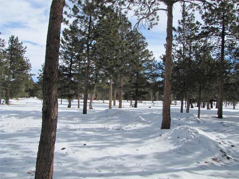 1903 Singletree Rd, Hartsel, CO 80449 photo 9
