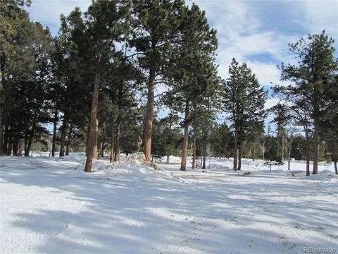 1903 Singletree Rd, Hartsel, CO 80449 photo 5
